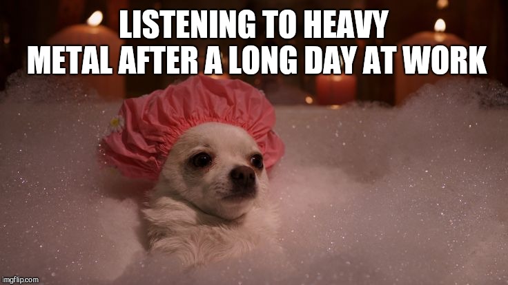 Chihuahua Bubble Bath | LISTENING TO HEAVY METAL AFTER A LONG DAY AT WORK | image tagged in chihuahua bubble bath | made w/ Imgflip meme maker