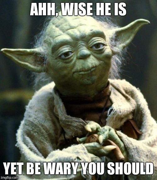 Star Wars Yoda Meme | AHH, WISE HE IS YET BE WARY YOU SHOULD | image tagged in memes,star wars yoda | made w/ Imgflip meme maker