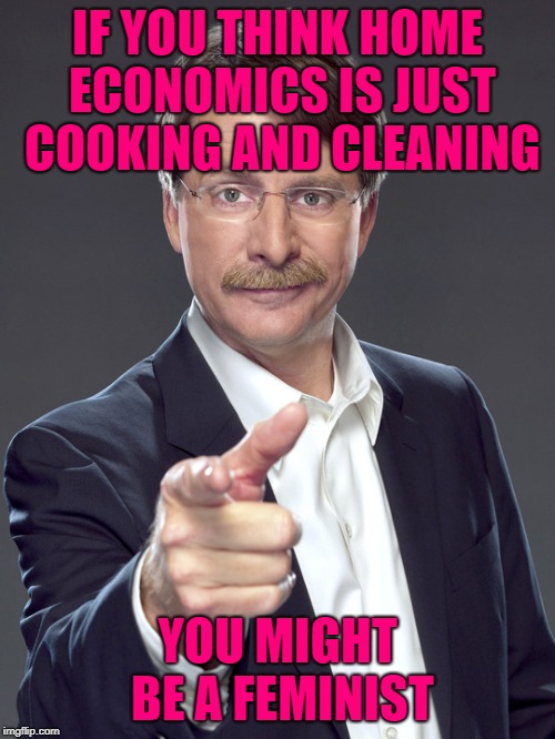 Jeff foxworthy | IF YOU THINK HOME ECONOMICS IS JUST COOKING AND CLEANING; YOU MIGHT BE A FEMINIST | image tagged in jeff foxworthy | made w/ Imgflip meme maker