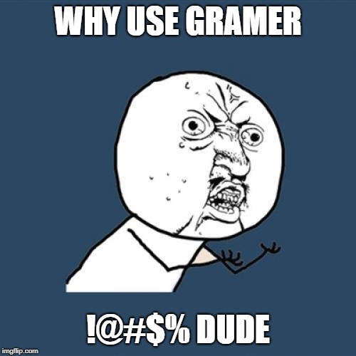 Y U No | WHY USE GRAMER; !@#$% DUDE | image tagged in memes,y u no | made w/ Imgflip meme maker