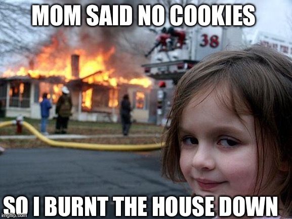 Disaster Girl Meme | MOM SAID NO COOKIES; SO I BURNT THE HOUSE DOWN | image tagged in memes,disaster girl | made w/ Imgflip meme maker
