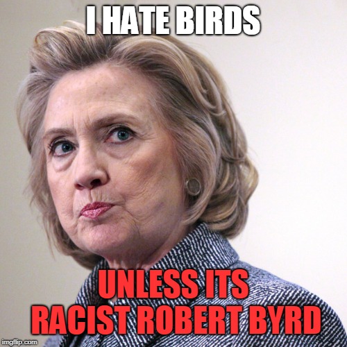 hillary clinton pissed | I HATE BIRDS UNLESS ITS RACIST ROBERT BYRD | image tagged in hillary clinton pissed | made w/ Imgflip meme maker