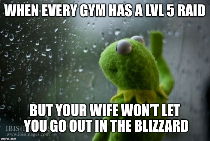 kermit window | WHEN EVERY GYM HAS A LVL 5 RAID; BUT YOUR WIFE WON’T LET YOU GO OUT IN THE BLIZZARD | image tagged in kermit window | made w/ Imgflip meme maker