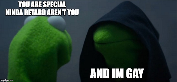 Evil Kermit Meme | YOU ARE SPECIAL KINDA RETARD AREN'T YOU AND IM GAY | image tagged in memes,evil kermit | made w/ Imgflip meme maker