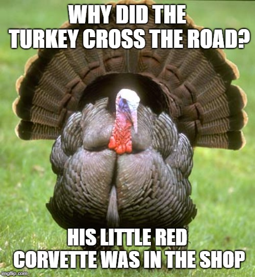 Turkey Meme | WHY DID THE TURKEY CROSS THE ROAD? HIS LITTLE RED CORVETTE WAS IN THE SHOP | image tagged in memes,turkey | made w/ Imgflip meme maker