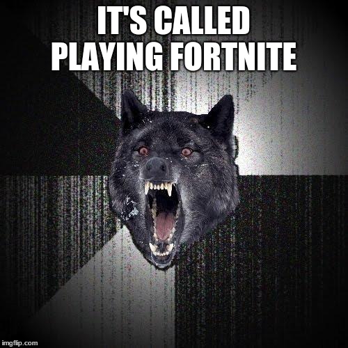 Insanity Wolf Meme | IT'S CALLED PLAYING FORTNITE | image tagged in memes,insanity wolf | made w/ Imgflip meme maker