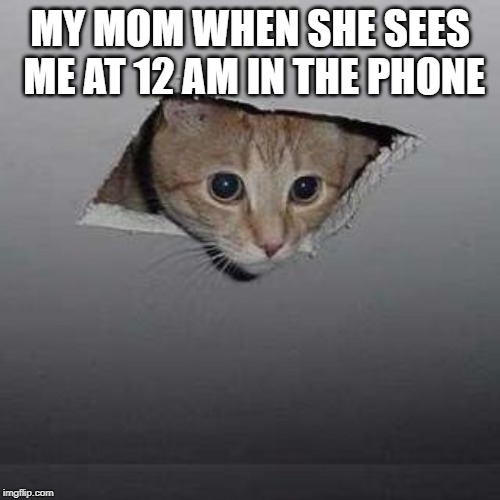 Ceiling Cat Meme | MY MOM WHEN SHE SEES ME AT 12 AM IN THE PHONE | image tagged in memes,ceiling cat | made w/ Imgflip meme maker