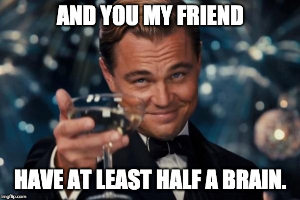 AND YOU MY FRIEND HAVE AT LEAST HALF A BRAIN. | image tagged in memes,leonardo dicaprio cheers | made w/ Imgflip meme maker