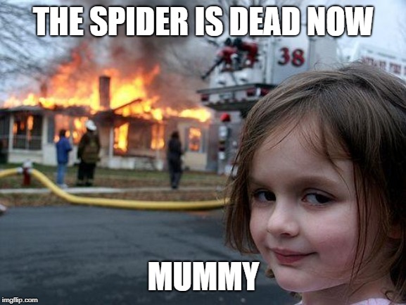 Disaster Girl Meme | THE SPIDER IS DEAD NOW; MUMMY | image tagged in memes,disaster girl | made w/ Imgflip meme maker