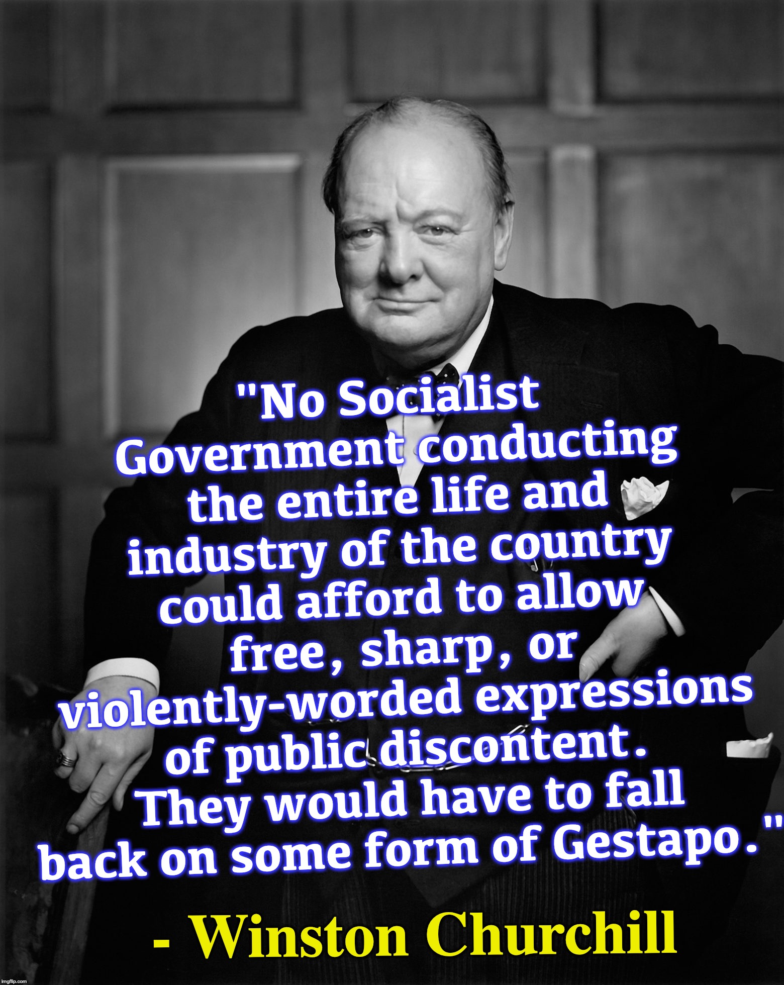 "No Socialist Government conducting the entire life and industry of the country could afford to allow free, sharp, or violently-worded expressions of public discontent. They would have to fall back on some form of Gestapo."; - Winston Churchill | image tagged in winston churchill,socialism,communist socialist | made w/ Imgflip meme maker