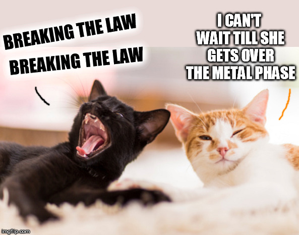 I CAN'T WAIT TILL SHE GETS OVER THE METAL PHASE; BREAKING THE LAW; BREAKING THE LAW | image tagged in metal,judas priest | made w/ Imgflip meme maker