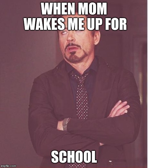 Face You Make Robert Downey Jr Meme | WHEN MOM WAKES ME UP FOR; SCHOOL | image tagged in memes,face you make robert downey jr | made w/ Imgflip meme maker