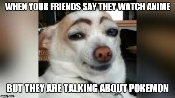 Surprized Pup | WHEN YOUR FRIENDS SAY THEY WATCH ANIME; BUT THEY ARE TALKING ABOUT POKEMON | image tagged in surprized pup | made w/ Imgflip meme maker