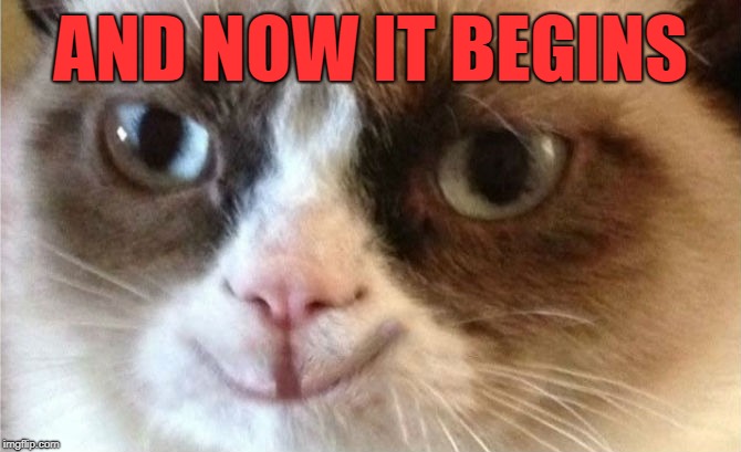 Grumpy Cat happy | AND NOW IT BEGINS | image tagged in grumpy cat happy | made w/ Imgflip meme maker