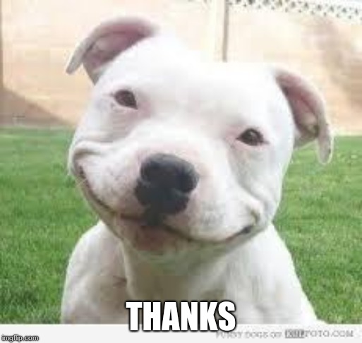 Happy Friday Puppy | THANKS | image tagged in happy friday puppy | made w/ Imgflip meme maker