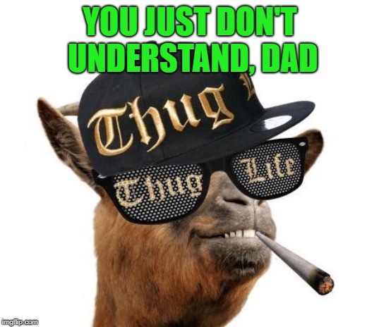 thug life camel | YOU JUST DON'T UNDERSTAND, DAD | image tagged in thug life camel | made w/ Imgflip meme maker