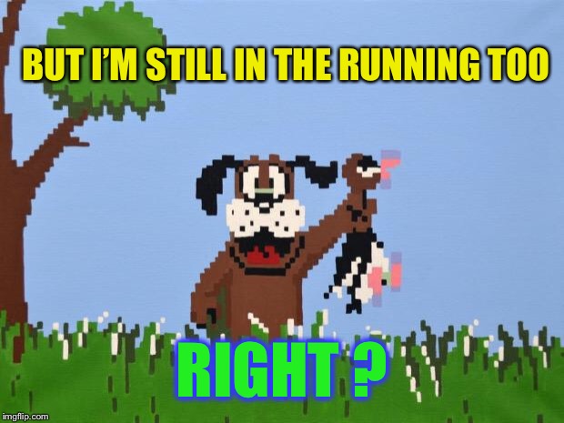 Duck hunt | BUT I’M STILL IN THE RUNNING TOO RIGHT ? | image tagged in duck hunt | made w/ Imgflip meme maker