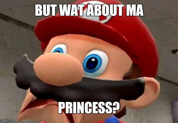 Mario WTF | BUT WAT ABOUT MA PRINCESS? | image tagged in mario wtf | made w/ Imgflip meme maker