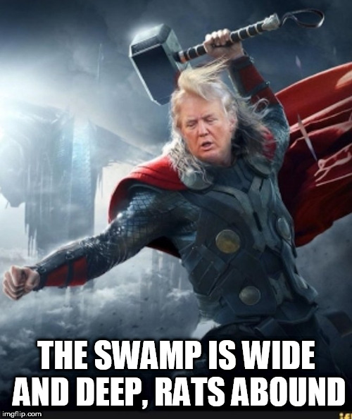 THE SWAMP IS WIDE AND DEEP, RATS ABOUND | image tagged in killing swamp rats | made w/ Imgflip meme maker