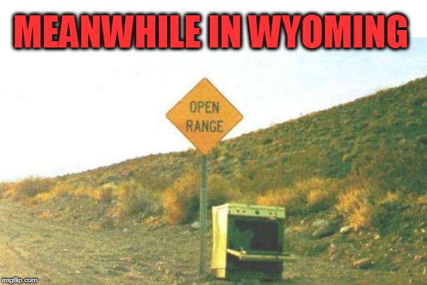 MEANWHILE IN WYOMING | image tagged in repost | made w/ Imgflip meme maker