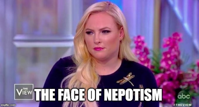 THE FACE OF NEPOTISM | image tagged in meghan mccain | made w/ Imgflip meme maker