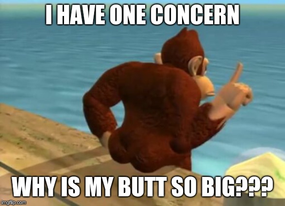 donkey kong butt | I HAVE ONE CONCERN; WHY IS MY BUTT SO BIG??? | image tagged in donkey kong butt | made w/ Imgflip meme maker
