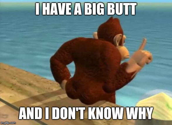 donkey kong butt | I HAVE A BIG BUTT; AND I DON'T KNOW WHY | image tagged in donkey kong butt | made w/ Imgflip meme maker