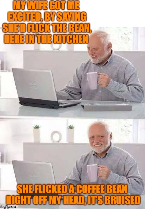 Suggestion by SpursFanFromAround after a comment - don’t flick right past  | MY WIFE GOT ME EXCITED, BY SAYING SHE’D FLICK THE BEAN, HERE IN THE KITCHEN; SHE FLICKED A COFFEE BEAN RIGHT OFF MY HEAD, IT’S BRUISED | image tagged in memes,hide the pain harold,coffee addict,mr bean,flicker,harold smiling | made w/ Imgflip meme maker