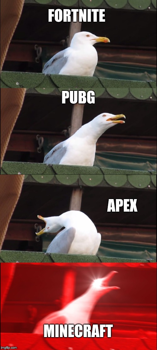 Inhaling Seagull | FORTNITE; PUBG; APEX; MINECRAFT | image tagged in memes,inhaling seagull | made w/ Imgflip meme maker