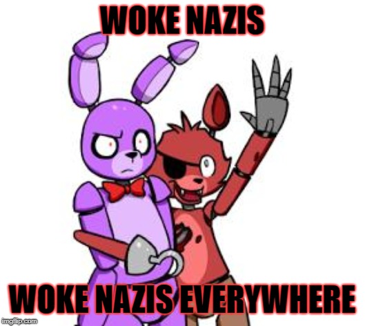 Woke Nazi | WOKE NAZIS; WOKE NAZIS EVERYWHERE | image tagged in fnaf hype everywhere,woke,nazi,fascists | made w/ Imgflip meme maker