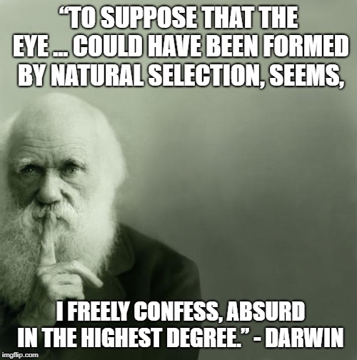 Darwin on sex and music | “TO SUPPOSE THAT THE EYE ... COULD HAVE BEEN FORMED BY NATURAL SELECTION, SEEMS, I FREELY CONFESS, ABSURD IN THE HIGHEST DEGREE.” - DARWIN | image tagged in darwin on sex and music | made w/ Imgflip meme maker