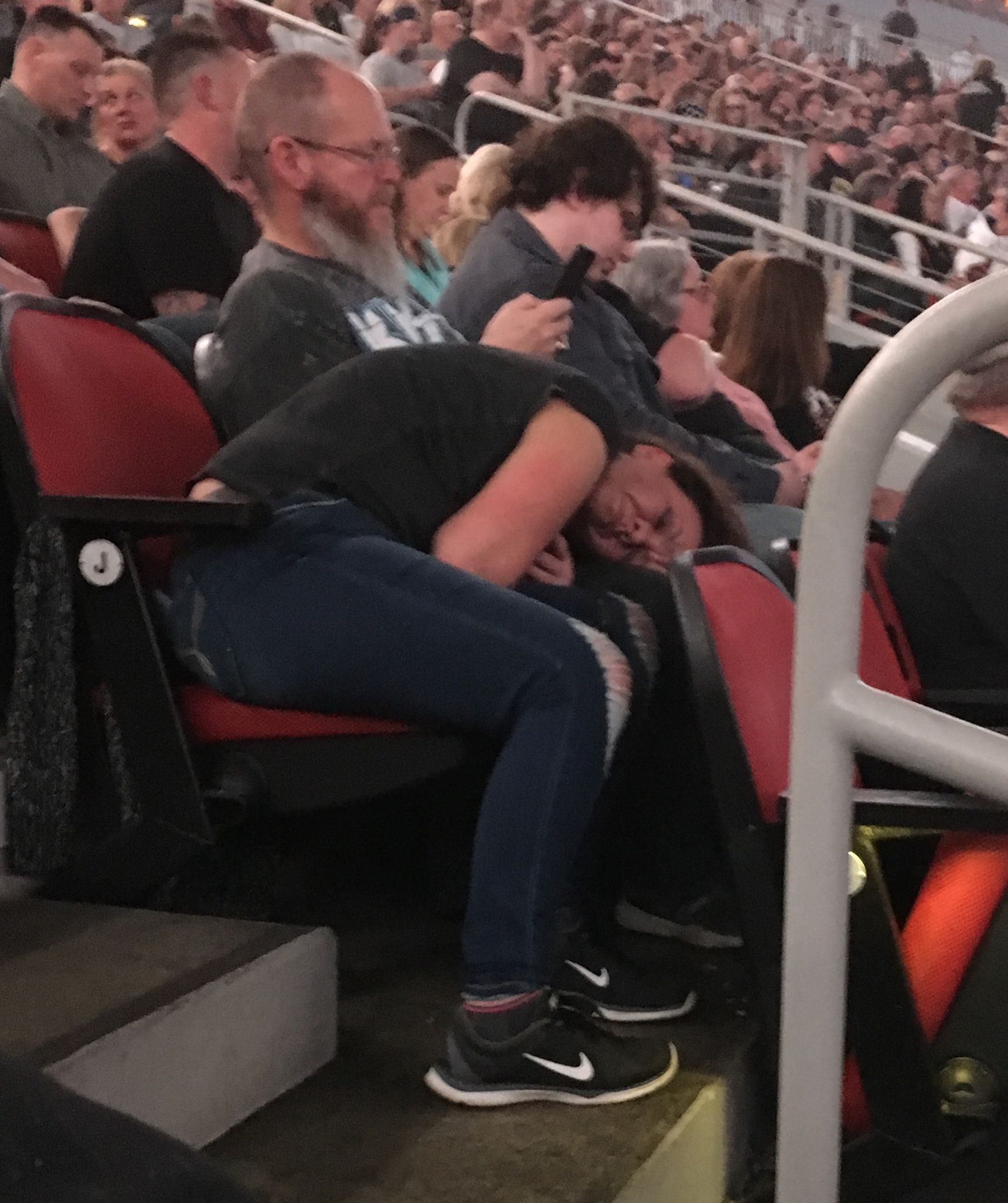 Passed Out Concertgoer Blank Meme Template