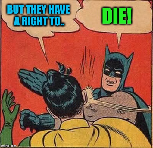 Batman Slapping Robin Meme | BUT THEY HAVE A RIGHT TO.. DIE! | image tagged in memes,batman slapping robin | made w/ Imgflip meme maker