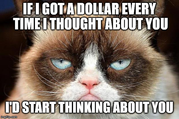 If I had a dollar... | IF I GOT A DOLLAR EVERY TIME I THOUGHT ABOUT YOU; I'D START THINKING ABOUT YOU | image tagged in memes,grumpy cat not amused,grumpy cat | made w/ Imgflip meme maker
