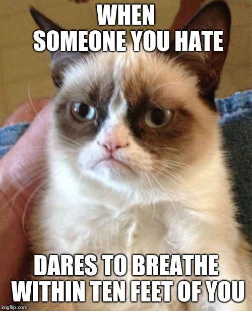 haters don't deserve to breathe | WHEN SOMEONE YOU HATE; DARES TO BREATHE WITHIN TEN FEET OF YOU | image tagged in memes,grumpy cat | made w/ Imgflip meme maker