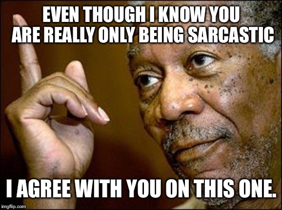 This Morgan Freeman | EVEN THOUGH I KNOW YOU ARE REALLY ONLY BEING SARCASTIC I AGREE WITH YOU ON THIS ONE. | image tagged in this morgan freeman | made w/ Imgflip meme maker