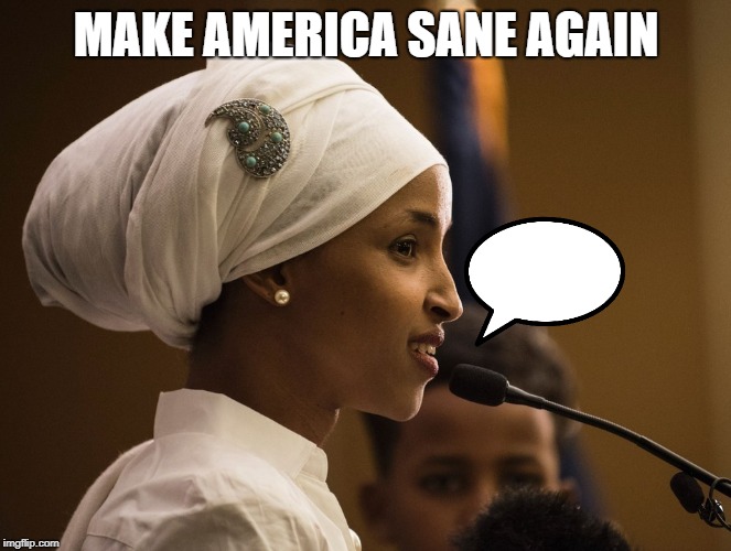 #StandWithIlhan | MAKE AMERICA SANE AGAIN | image tagged in standwithilhan | made w/ Imgflip meme maker