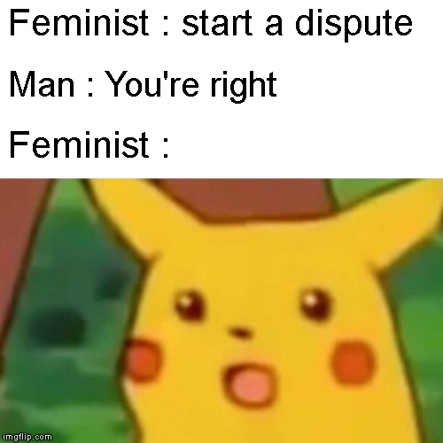 Surprised Pikachu | Feminist : start a dispute; Man : You're right; Feminist : | image tagged in memes,surprised pikachu | made w/ Imgflip meme maker