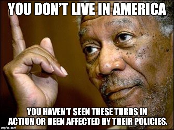 This Morgan Freeman | YOU DON’T LIVE IN AMERICA YOU HAVEN’T SEEN THESE TURDS IN ACTION OR BEEN AFFECTED BY THEIR POLICIES. | image tagged in this morgan freeman | made w/ Imgflip meme maker