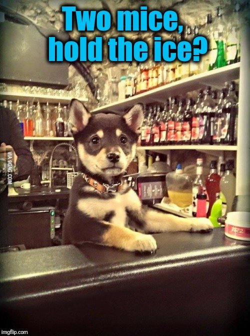 Bartender Puppy | Two mice,  hold the ice? | image tagged in bartender puppy | made w/ Imgflip meme maker