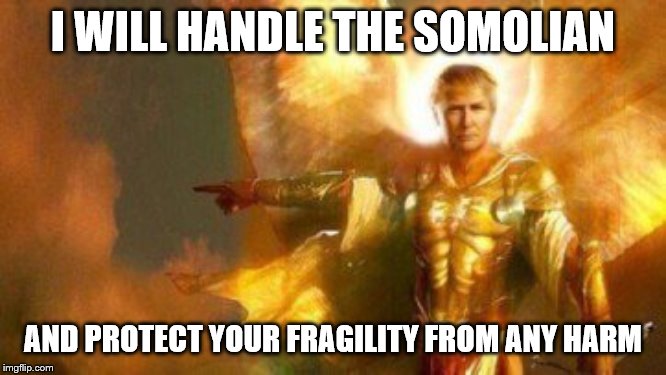 I WILL HANDLE THE SOMOLIAN AND PROTECT YOUR FRAGILITY FROM ANY HARM | made w/ Imgflip meme maker
