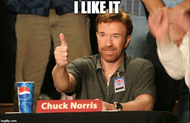 Chuck Norris Approves Meme | I LIKE IT | image tagged in memes,chuck norris approves,chuck norris | made w/ Imgflip meme maker