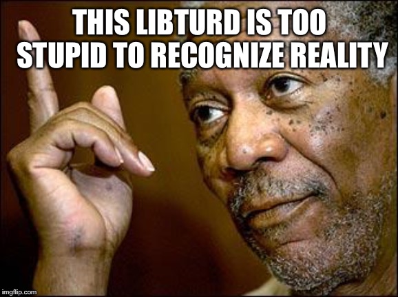 This Morgan Freeman | THIS LIBTURD IS TOO STUPID TO RECOGNIZE REALITY | image tagged in this morgan freeman | made w/ Imgflip meme maker