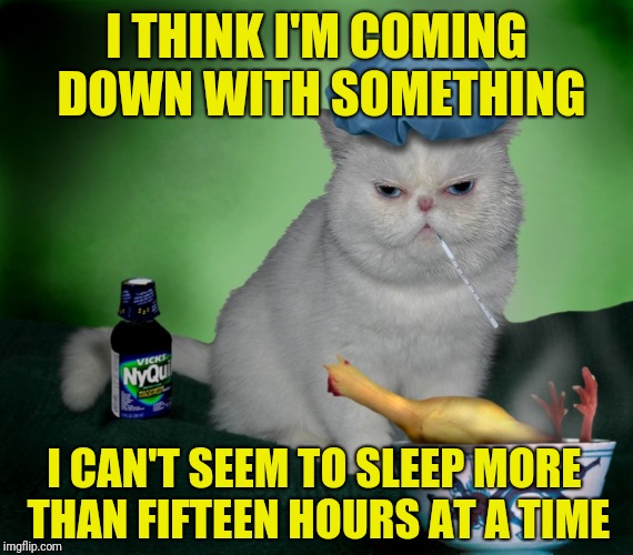 You must be dog...er...cat tired  | I THINK I'M COMING DOWN WITH SOMETHING; I CAN'T SEEM TO SLEEP MORE THAN FIFTEEN HOURS AT A TIME | image tagged in sick cat,memes,cats,sick humor,russian sleep experiment,cat nap | made w/ Imgflip meme maker