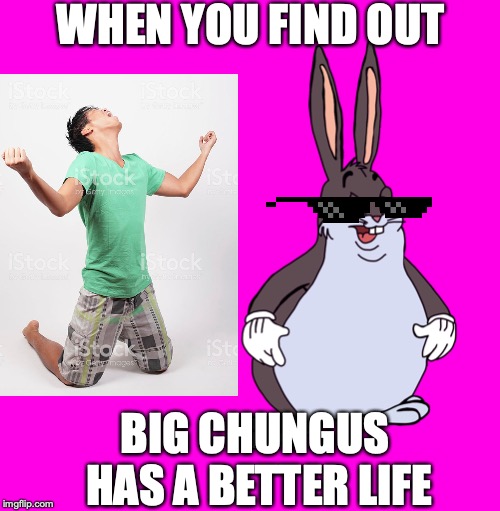 why world, why | WHEN YOU FIND OUT; BIG CHUNGUS HAS A BETTER LIFE | image tagged in funny meme | made w/ Imgflip meme maker