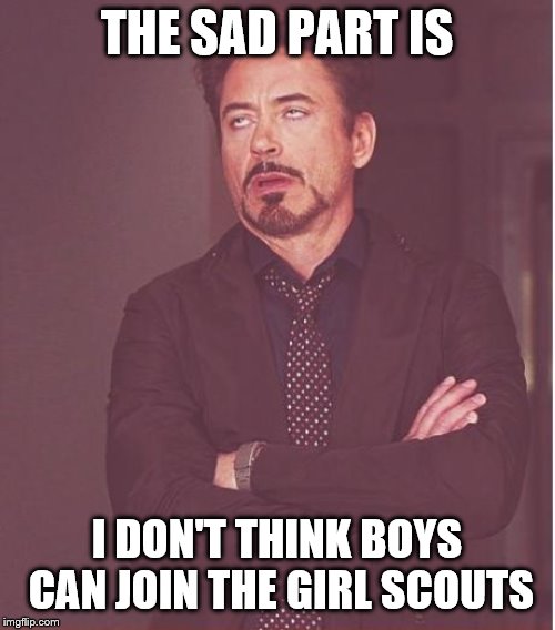 Face You Make Robert Downey Jr Meme | THE SAD PART IS I DON'T THINK BOYS CAN JOIN THE GIRL SCOUTS | image tagged in memes,face you make robert downey jr | made w/ Imgflip meme maker