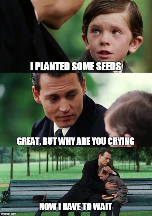 Finding Neverland | I PLANTED SOME SEEDS; GREAT, BUT WHY ARE YOU CRYING; NOW I HAVE TO WAIT | image tagged in memes,finding neverland | made w/ Imgflip meme maker