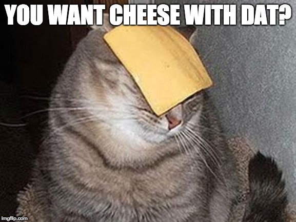 Cats with cheese | YOU WANT CHEESE WITH DAT? | image tagged in cats with cheese | made w/ Imgflip meme maker