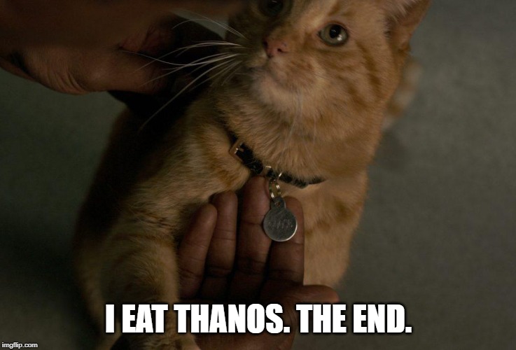 How Endgame will Conclude... | I EAT THANOS. THE END. | image tagged in don't jerk with this flerken | made w/ Imgflip meme maker