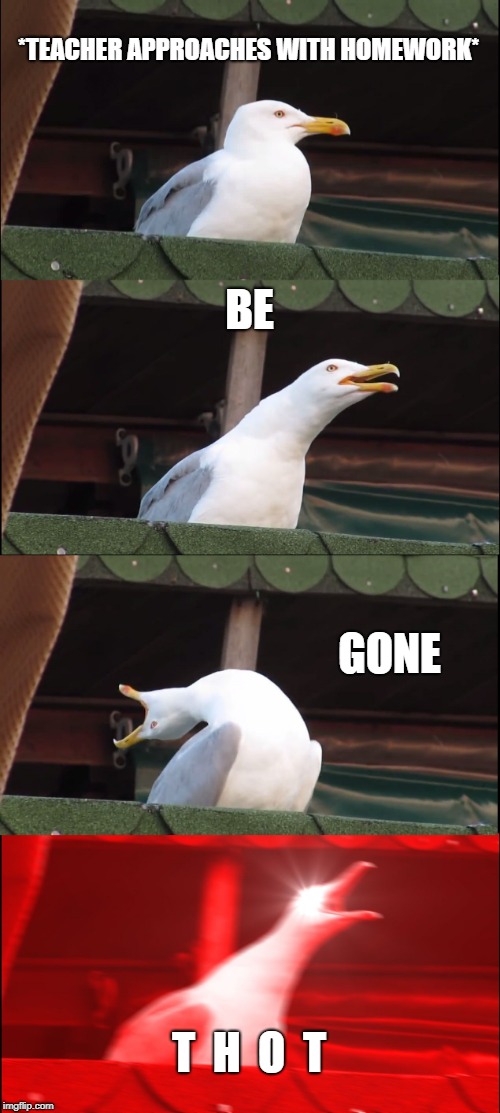 Inhaling Seagull Meme | *TEACHER APPROACHES WITH HOMEWORK*; BE; GONE; T  H  O  T | image tagged in memes,inhaling seagull | made w/ Imgflip meme maker